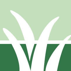 Posion Ivy Removal Pros