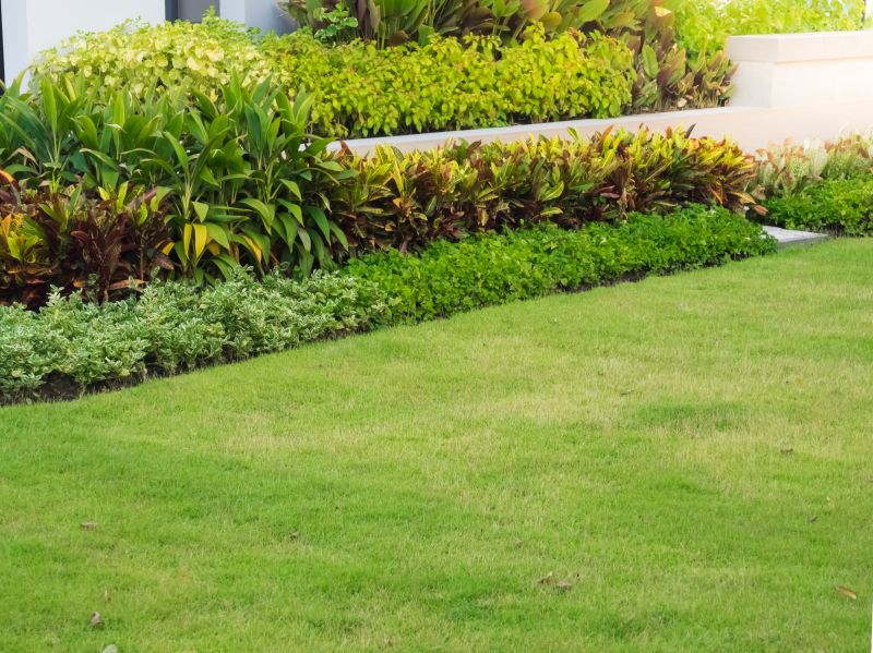 Healthy Lawn Maintenance