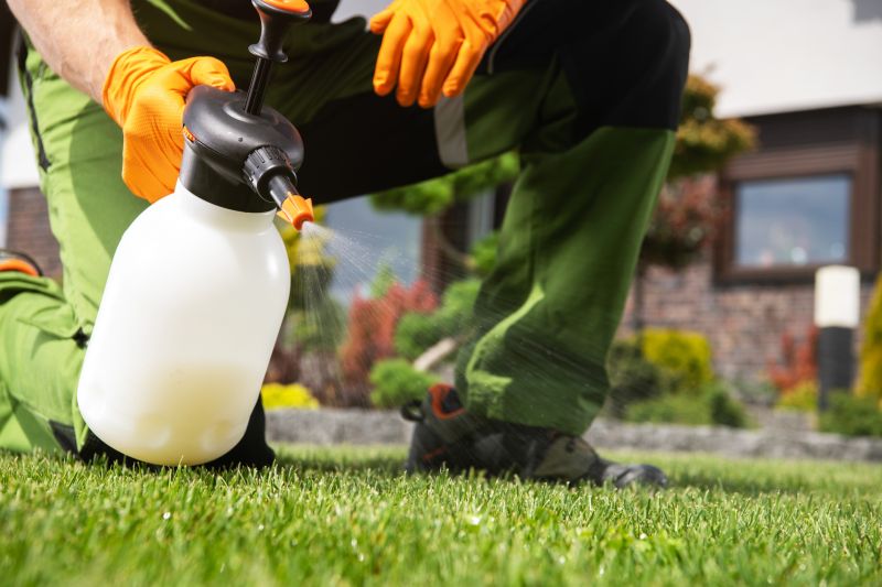 Lawn Weed Spraying in Rockwall, TX