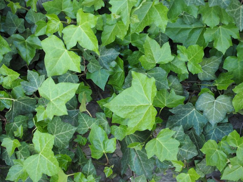 Measuring & Fit Tips